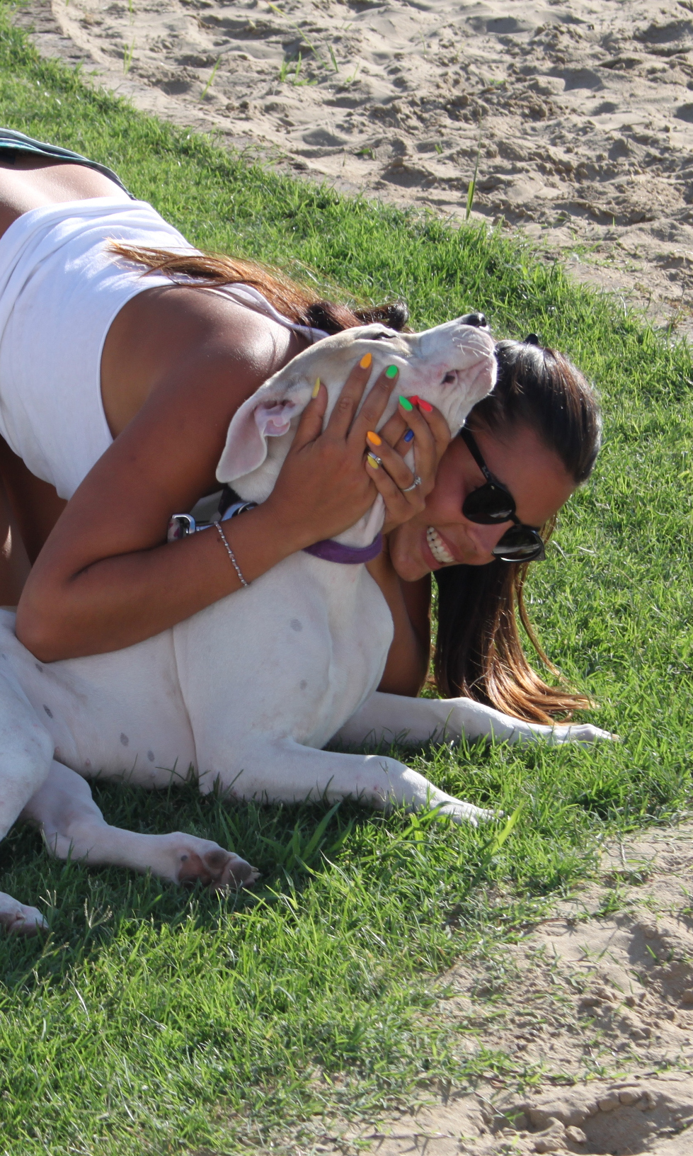 Spiaggia per cani