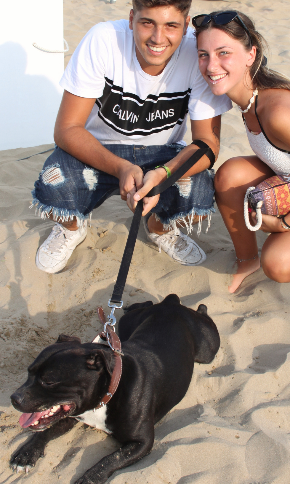 Spiaggia per cani