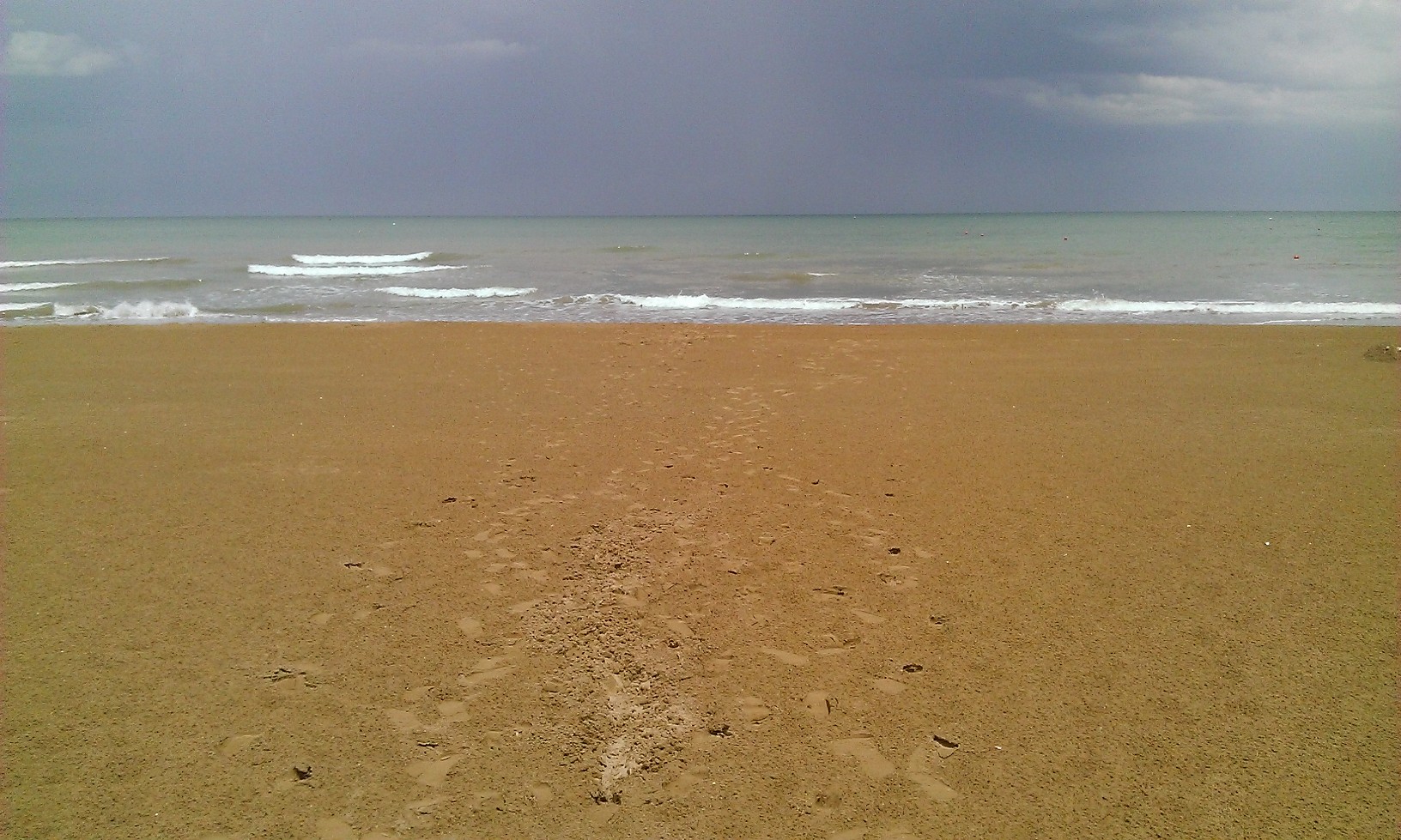 The Sea